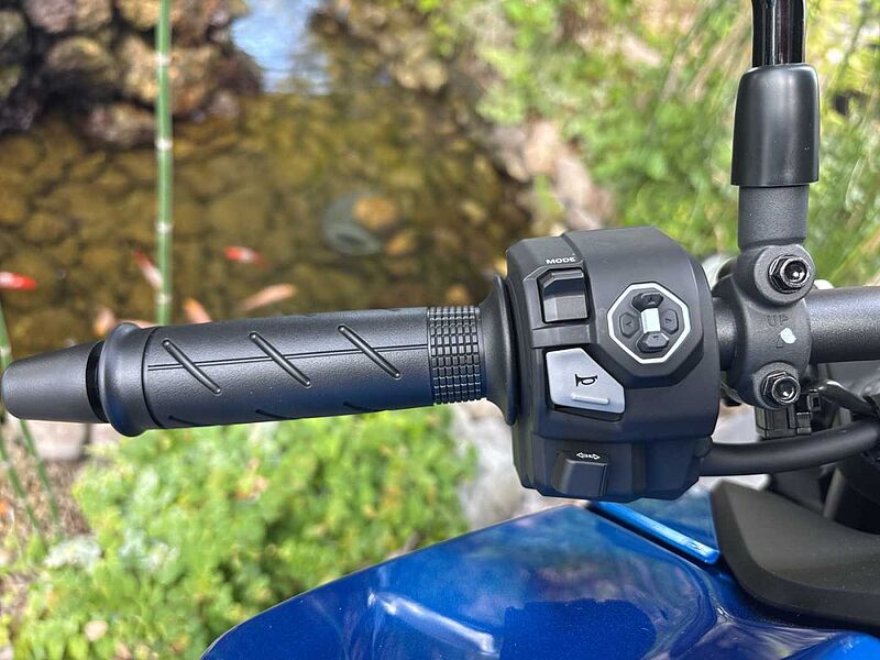 Honda Honda CB 750 Hornet SOFORT VERFÜGBAR! !!