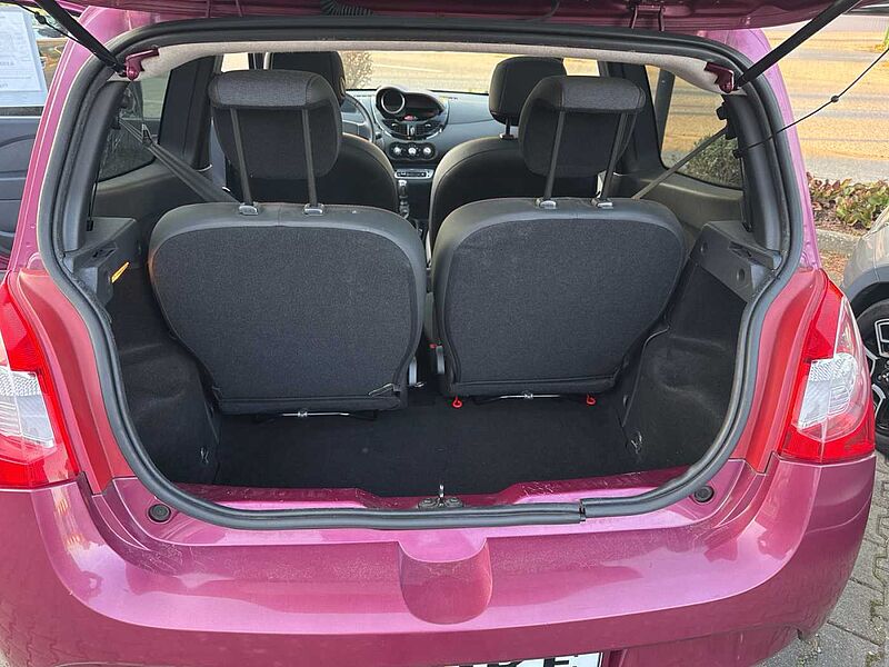 Renault Twingo 1.2 LEV 16V 75 Dynamique Panoramadach