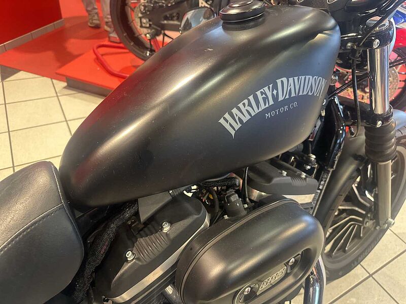 Harley-Davidson XL 883 N Sportster Iron