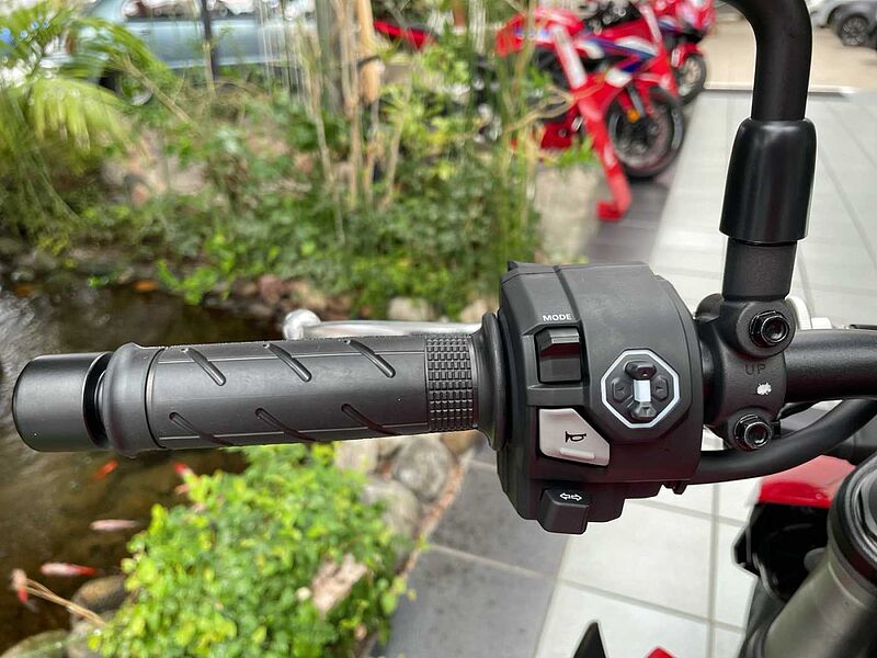 Honda CB 1000 Hornet 2025 SOFORT VERFÜGBAR